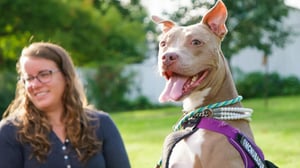 The Wizard of Paws, Season 5 Episode 7 image