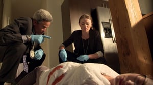 In Plain Sight, Season 1 Episode 13 image