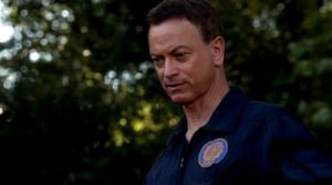 CSI: NY, Season 9 Episode 6 image