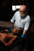 Mummies Alive, Season 1 Episode 1 image