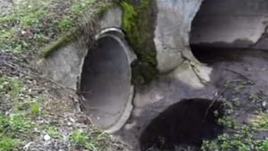 Smosh, Season 2 Episode 1 image