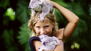 Dodo Heroes, Season 1 Episode 2 image