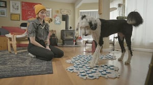 The Hidden Lives of Pets, Season 1 Episode 2 image