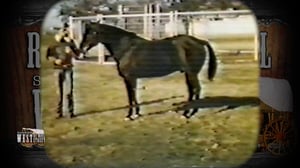 Red Steagall Is Somewhere West of Wall Street, Season 7 Episode 50 image