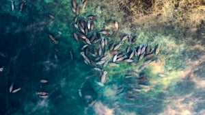 The Americas, Season 1 Episode 6 image