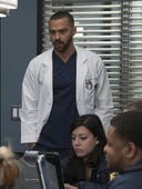 Grey's Anatomy, Season 14 Episode 8 image