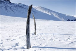 Secrets in the Ice, Season 2 Episode 9 image