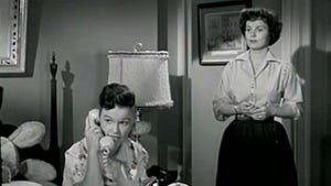 The Donna Reed Show, Season 1 Episode 29 image