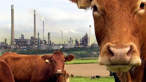 Natural World, Season 27 Episode 14 image