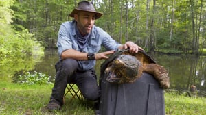 Brave Wilderness, Season 5 Episode 14 image