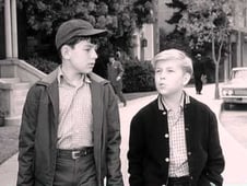 Leave It to Beaver, Season 4 Episode 32 image