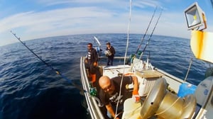 Wicked Tuna: North vs. South, Season 1 Episode 6 image