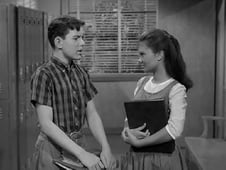 Leave It to Beaver, Season 6 Episode 13 image