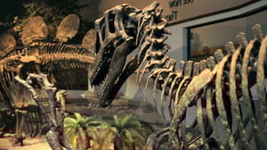 Mystery Lab, Season 1 Episode 6 image