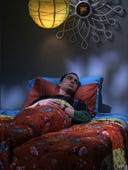 The Big Bang Theory, Season 2 Episode 21 image