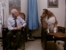 St. Elsewhere, Season 5 Episode 17 image