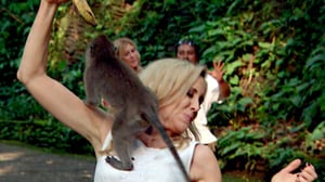 The Real Housewives of Orange County, Season 9 Episode 17 image