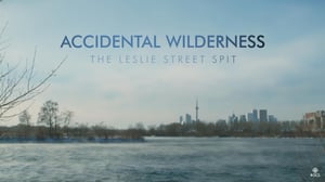 The Nature of Things, Season 59 Episode 14 image