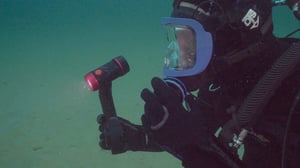 The Curse of Civil War Gold, Season 2 Episode 5 image