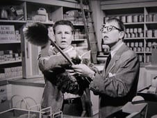 The Adventures of Ozzie and Harriet, Season 2 Episode 38 image