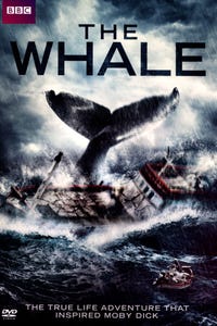 The Whale as Thomas Nickerson (Older)