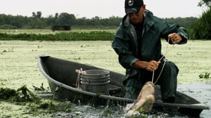 Swamp People, Season 10 Episode 2 image