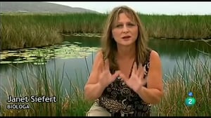 Catastrophe, Season 1 Episode 1 image