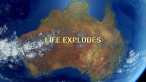 Nova, Season 40 Episode 11 image