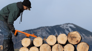 Life Below Zero, Season 11 Episode 1 image