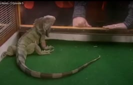 Dear Green Place, Season 2 Episode 5 image