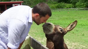 Million Dollar Listing New York, Season 9 Episode 6 image