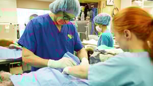 Dr. Jeff: Rocky Mountain Vet, Season 1 Episode 1 image