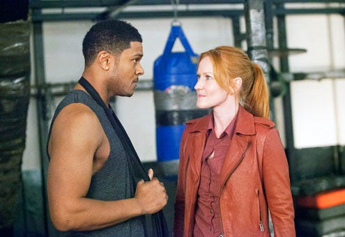 Ray Donovan - Season 1 - "A Mouth Is a Mouth" - Pooch Hall and Paula Malcomson