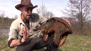 Brave Wilderness, Season 3 Episode 11 image