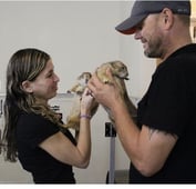 Dr K's Exotic Animal ER, Season 1 Episode 1 image