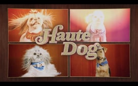 Haute Dog, Season 1 Episode 2 image