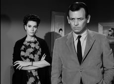 The Fugitive, Season 3 Episode 23 image