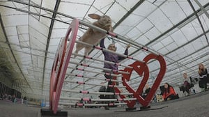 The Hidden Lives of Pets, Season 1 Episode 4 image