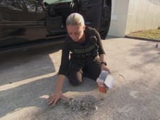 Police Women of Broward County, Season 2 Episode 6 image