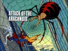 Spider-Man and His Amazing Friends, Season 3 Episode 4 image