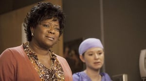 Grey's Anatomy, Season 8 Episode 12 image