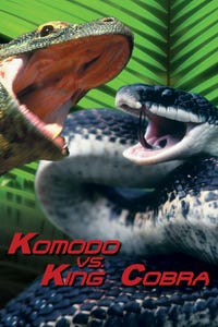 Komodo vs. Cobra as Sandra Crescent