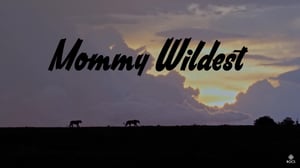 The Nature of Things, Season 57 Episode 12 image