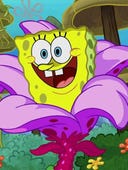 SpongeBob SquarePants, Season 12 Episode 6 image
