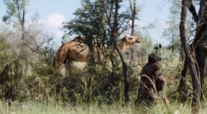 Man Eats Wild, Season 1 Episode 4 image