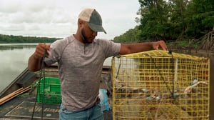 Swamp People, Season 14 Episode 10 image