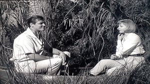 The Saint, Season 3 Episode 19 image