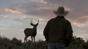 Nature, Season 32 Episode 15 image