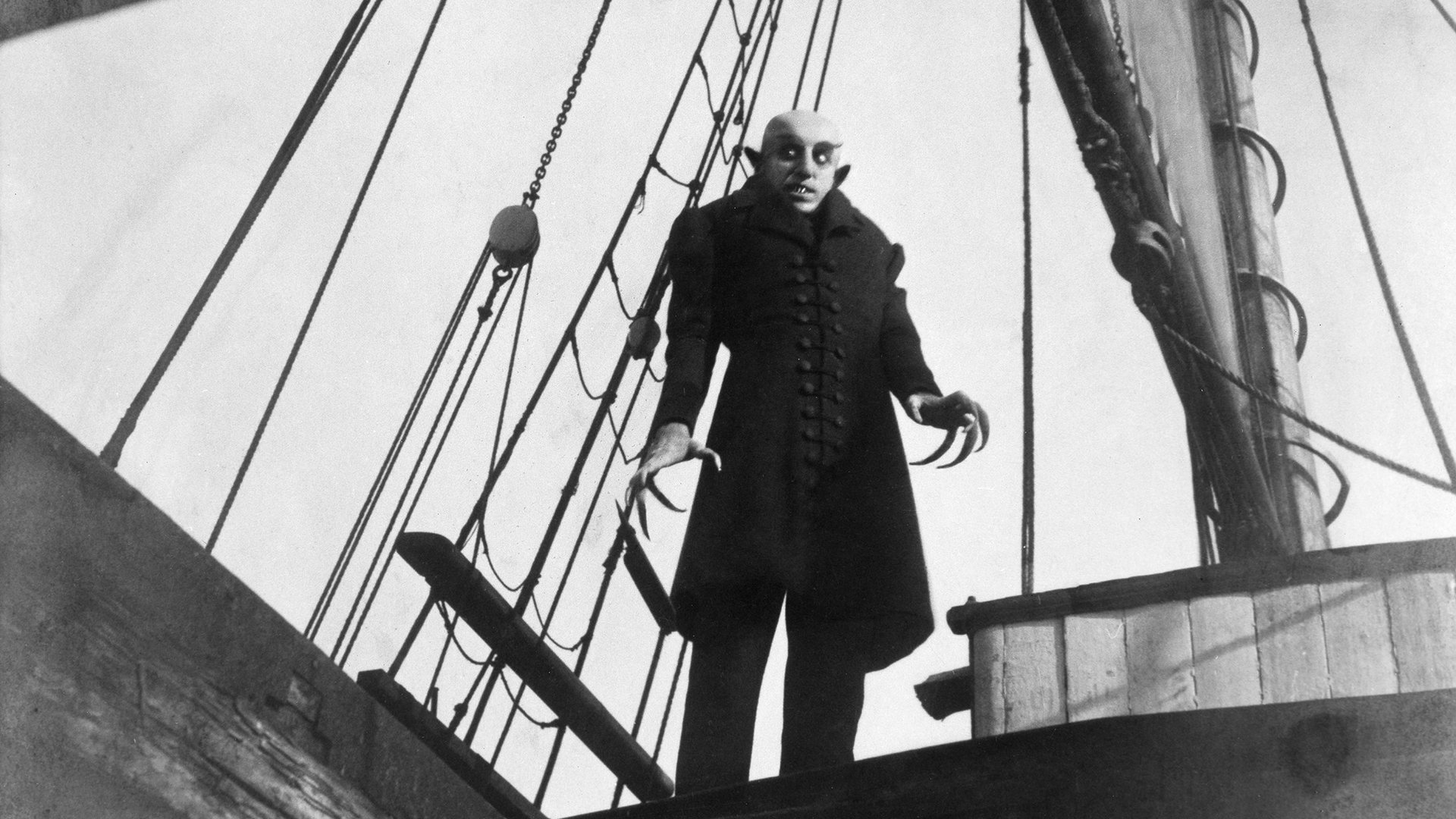 Max Schrek, Nosferatu