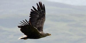 Nature, Season 27 Episode 12 image